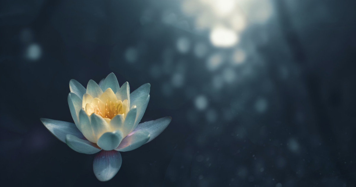 I saw a celestial light so white and so pure it was almost invisible. (photo: Zoltan Tasi)